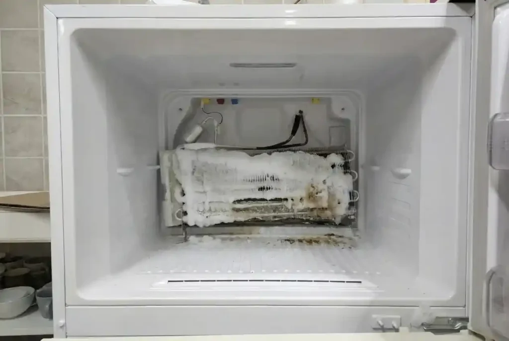 refrigerator maintenance